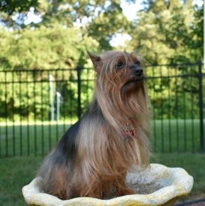 Meet your Posher, Jessica